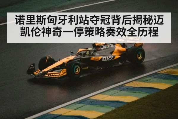 诺里斯匈牙利站夺冠背后揭秘迈凯伦神奇一停策略奏效全历程